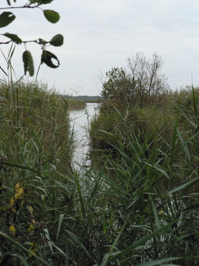Hickling broad