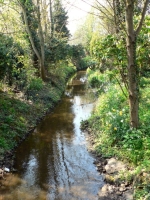 [Mundesley stream, Norfolk]